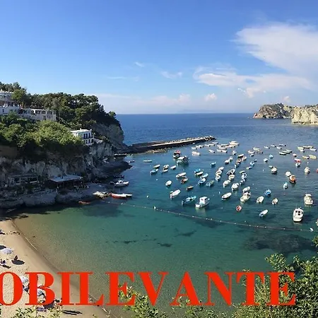Le More - Immobilevante Apartament